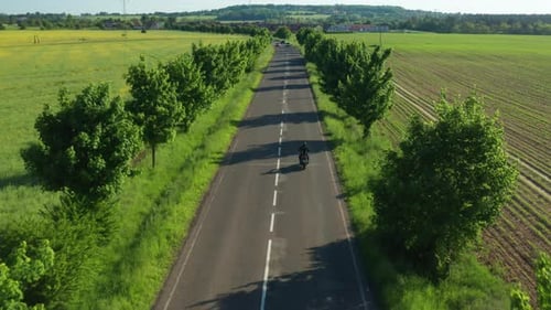 Motorcyclist Rides on Highway Between Fields Aerial View
