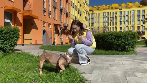 Cachorro marca território, faz xixi, raspando o chão ao ar livre na cidade