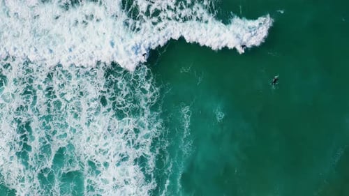 Aerial View Surfboarders Waiting Ocean Waves Lying on Surfboard