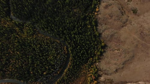 Turquoise Waters Flow Through a Dense Forest Adorned with Vibrant Autumn Colors The Scene Captures