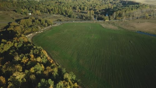 Agricultural fields. On the horizon you can see the settlement and the highway.