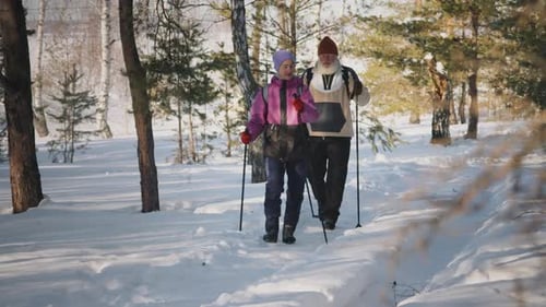 Cheerful Elderly Caucasian Couple Doing Nordic Walking in Snow in Forest