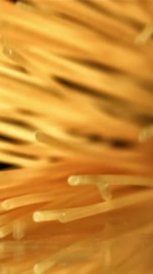 Pâtes à spaghetti au super ralenti filmées par une caméra haute vitesse à 1000 images par seconde