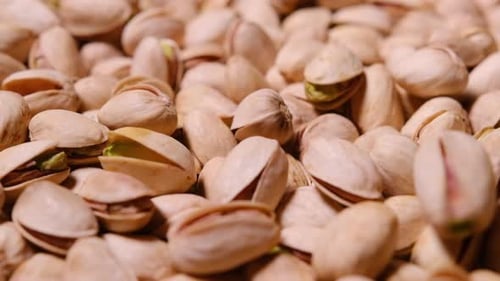 A Closeup View of Raw Pistachios Showing Their Unique Shell and Bright Green Kernels Inside