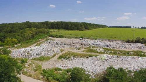 Des déchets dans la nature. Des tas de déchets sur un terrain entouré d'arbres verts. Pollution de l'environnement.