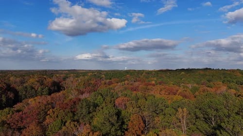 Aerial View of Colorful Forest with Blue Sky During Autumn Season
