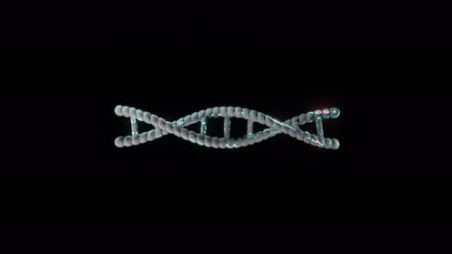Animated 3D DNA Double Helix Science Animation