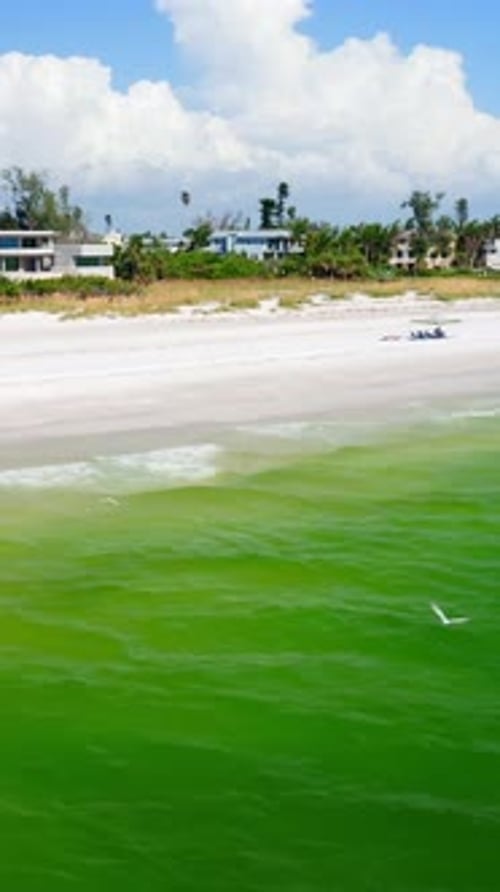 Mer vert émeraude le long de la plage de sable blanc avec des maisons côtières sous un ciel radieux