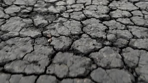 Close Up of Tracking Shot Over Dry Earth