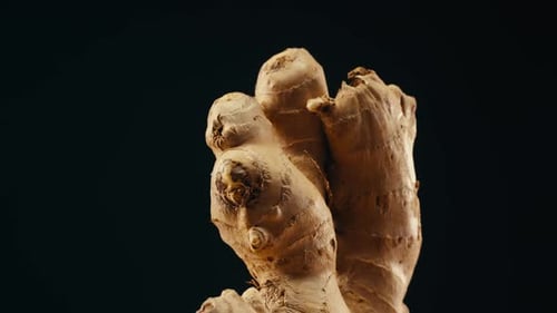Ginger Root and Sliced on Old Plank with Nature Background Closeup Food Texture Tea Lemonade