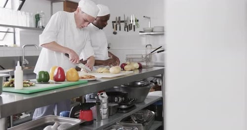 Chefs Preparing Food in Commercial Kitchen