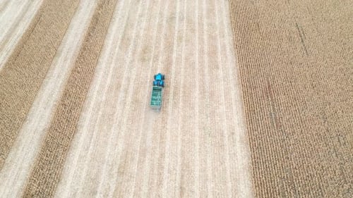 Aerial Shot of Tractor with Trailer Moving Along Field During Harvesting Drone Tracking Agricultural