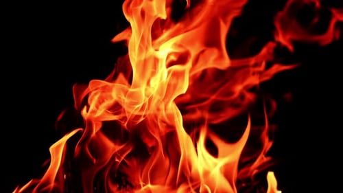 Hot flames of bonfire leaning to the right. Isolated view of campfire burning at night. Close up.