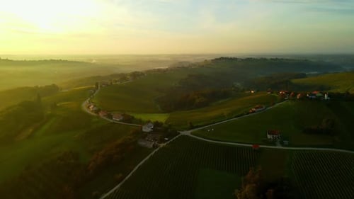 Golden Sunrise Over Rolling Hills and Green Vineyards