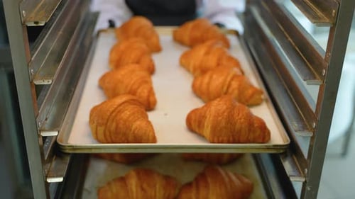 Golden Croissants Cooling in Bakery Rack