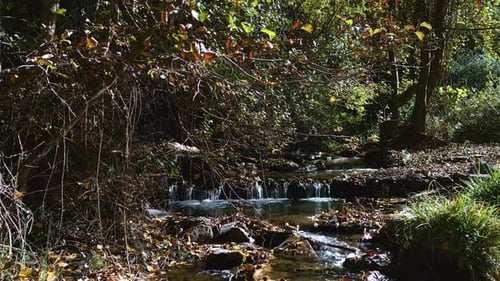 Stream in the forest in autumn. Dolly out mountain river aerial view. Andalusia. Spain.