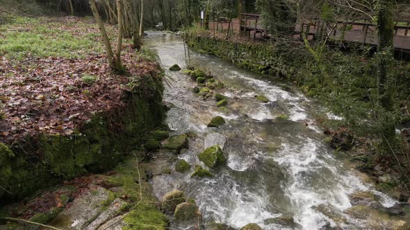 Rustic Stream Flow in Lush Woodland Setting - aerial , Nature Stock ...