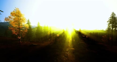 L'éclairage à contraste élevé le long du sentier améliore le paysage naturel à la fois spectaculaire et vivant