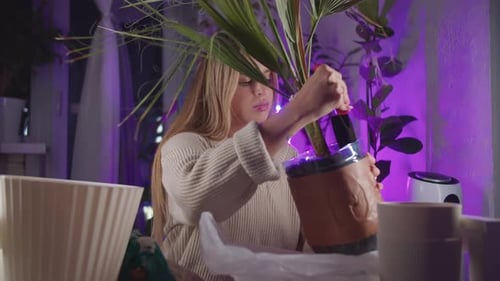 Woman Repotting Indoor Plant in Flower Pot