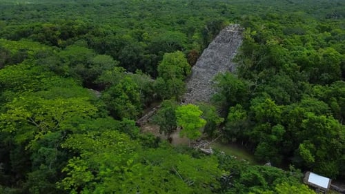 Elevated view of the ancient stone pyramid in the archaeological zone of Coba, an ancient Mayan city