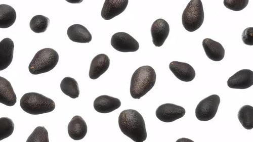 Nahtlos schwebende Avocados mit dunkler Haut auf weißem Grund
