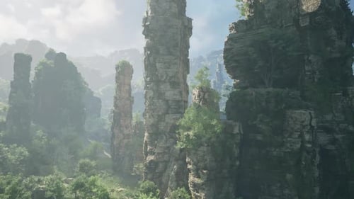 Rock Formations and Lush Greenery in the Enchanting Woods of China