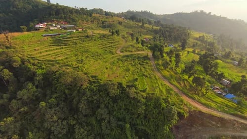 Cinematic forward flight over green terraced Plantation fields and houses on Slope of mountain at su