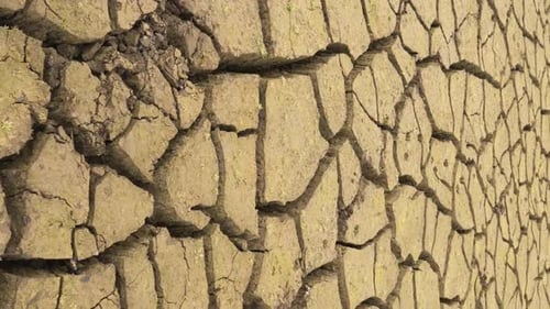 Vídeo vertical: fundo de lama seca da barragem de Studena, na Bulgária