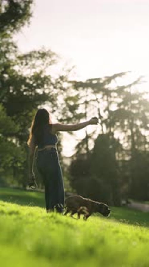 Young Woman Playing with Her Energetic Boxer Dog in the Park at Sunset