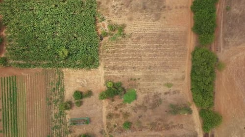 Savanna desert Brazil, farming industry sanctuary for vegetables. Aerial