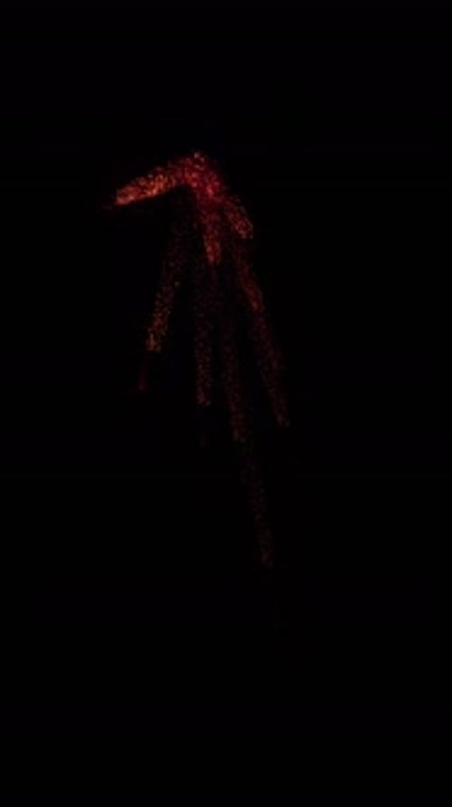 Abstract Red Particle Burst Animated Element