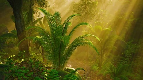Lush Tropical Jungle Scene with Sun Rays and Gentle Panning Movement