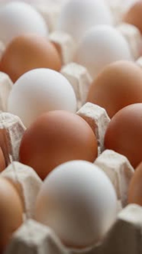 Farm Fresh Eggs in Rustic Paper Tray Rotating Vertical Footage GMO Free