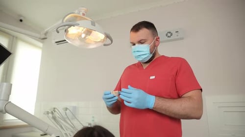 Dentist Examining Dental Mold in a Bright Room