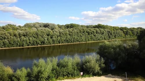 a river flowing among the trees
