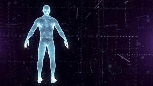 Digital Human Anatomy Wireframe Rotating in Futuristic Grid