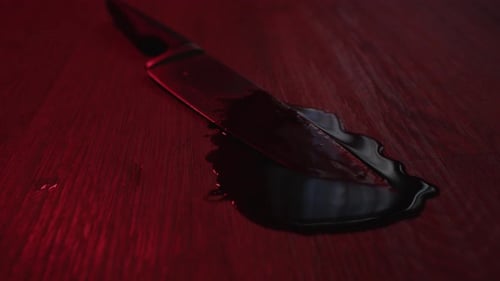 A sharp kitchen knife covered in blood lies in a pool of blood on a horrible crime scene