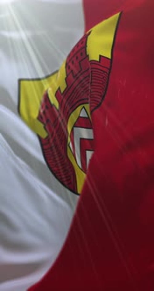 Vertical Waving Flag with Coat of Arms Crest