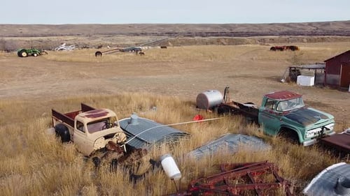 Alte rostige Autos und Lastwagen auf einem überwucherten Feld auf dem Land in der Nähe von Alberta, Kanada.