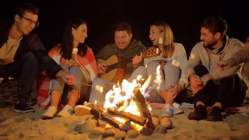 Leisure and People Concept - Group of Smiling Friends Sitting at Camp