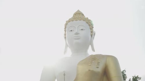 Couple of Golden Buddhist Monuments in a Temple in Chiang Mai