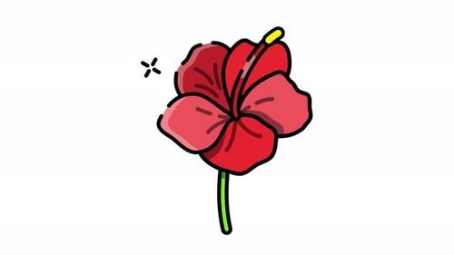 Hibiskusblüte