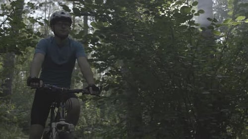 A Man on a Bicycle in the Forest A Boy Drives Along a Forest Path at Dawn