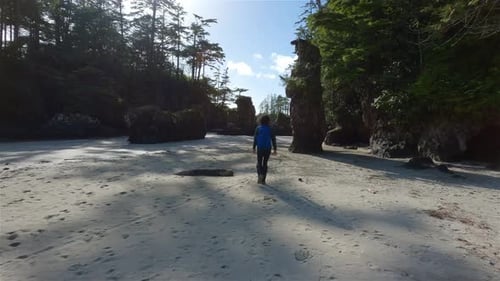 Woman Walking on Sandy Beach on Pacific Ocean Coast View