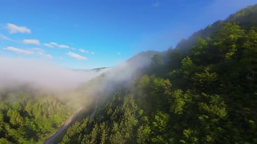 Aerial View of a Lush Green Valley at Sunrise with Misty Hills Forest Trees and Soft Morning Light A