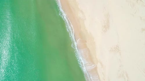 Aerial View of Sandy Beach and Turquoise Ocean Top View of Ocean Waves Reaching Shore on Sunny Day