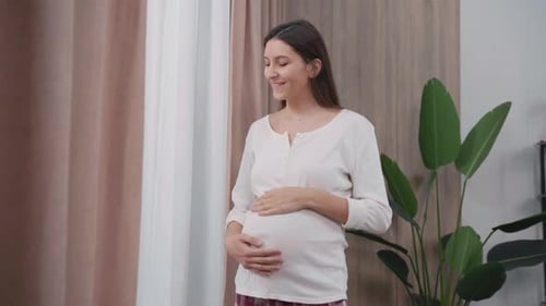 Beautiful Young Pregnant Woman in Stylish Modern Apartment Staying Home Attractive Young Mother