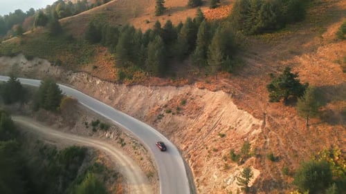 Car Drive Autumn Forest Road