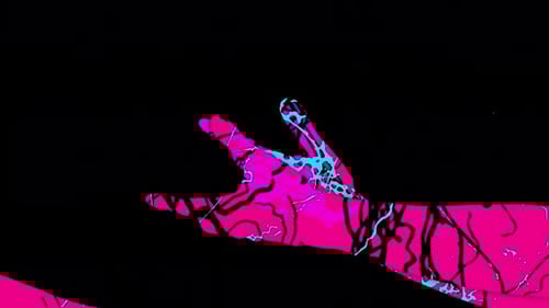 Vibrant Abstract Hands Connecting Loop Animation