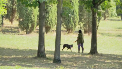 a Woman Playing with Her Dog on a Lawn Outdoors in Autumn Park